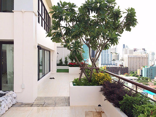 modern tropical balcony garden