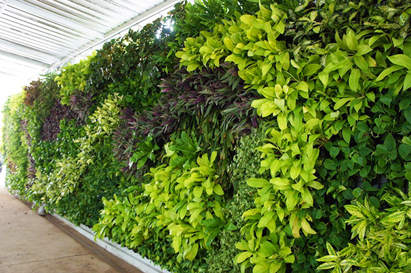 vertical gardens thailand