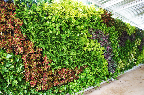 landscaping bangkok green wall