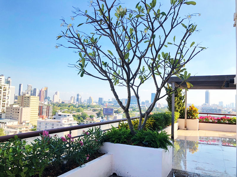 bangkok balcony gardens