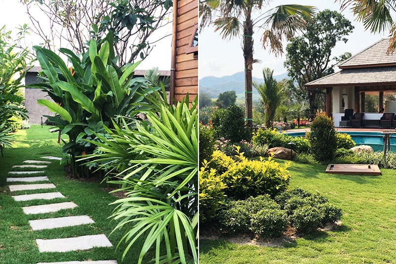 tropical landscapes in thailand