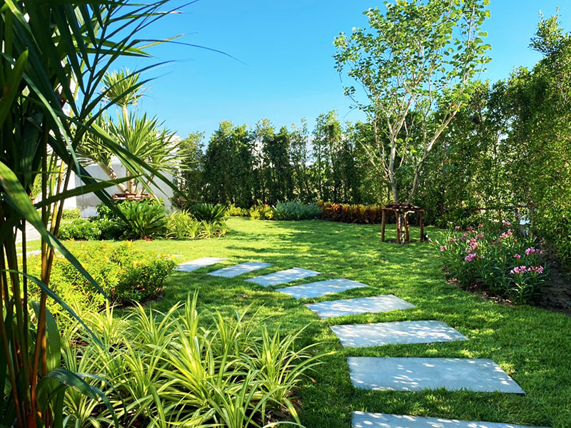 tropical garden landscape
