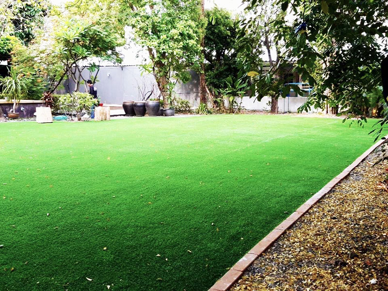 tropical garden lawn