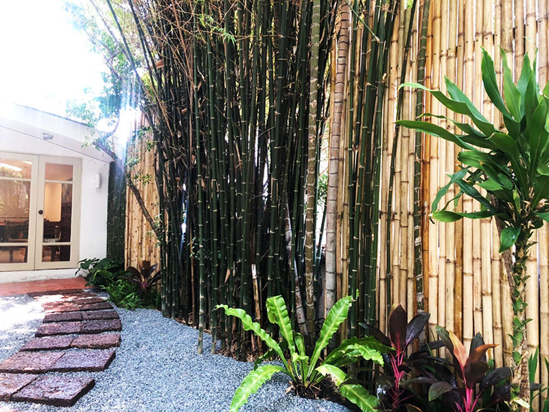 Garden design best sale with bamboo