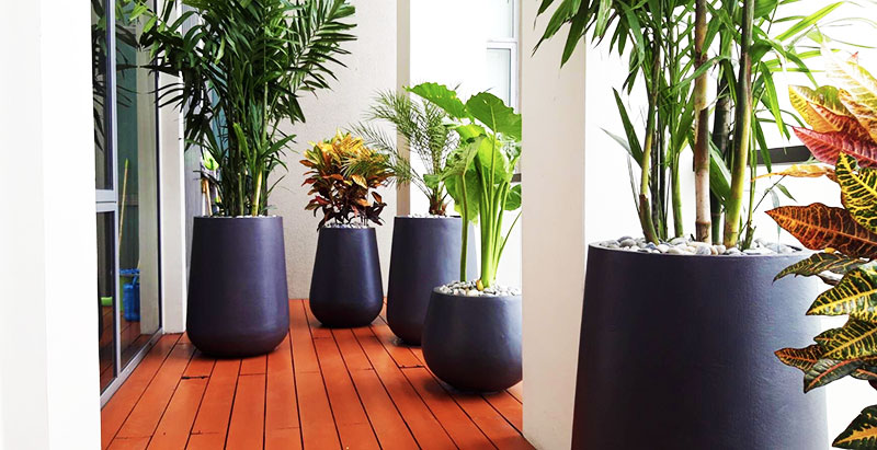 plant pots