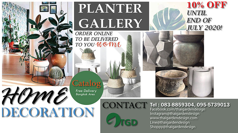 plant pots of thailand