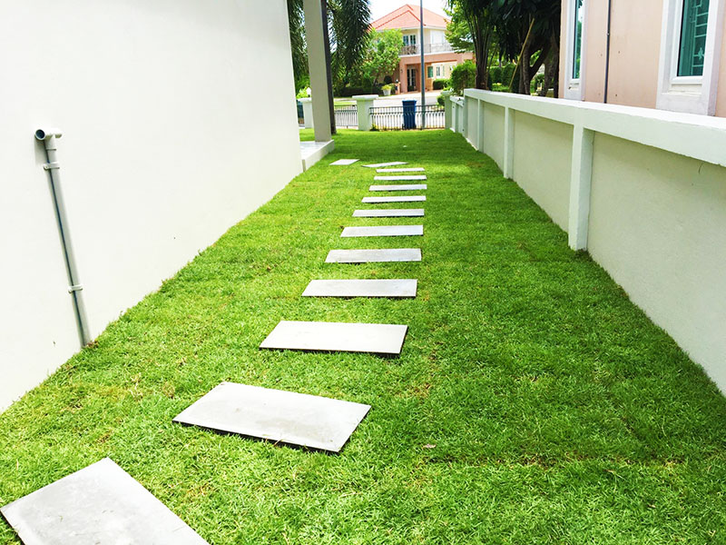 thailand designer garden