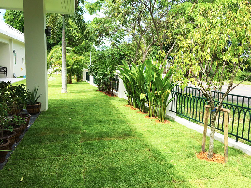 tropical garden designer