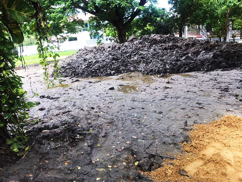 landscaping in bangkok, thailand