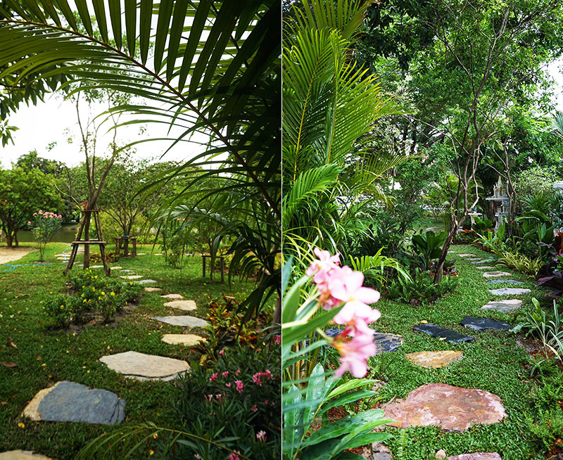 tropical thailand garden design