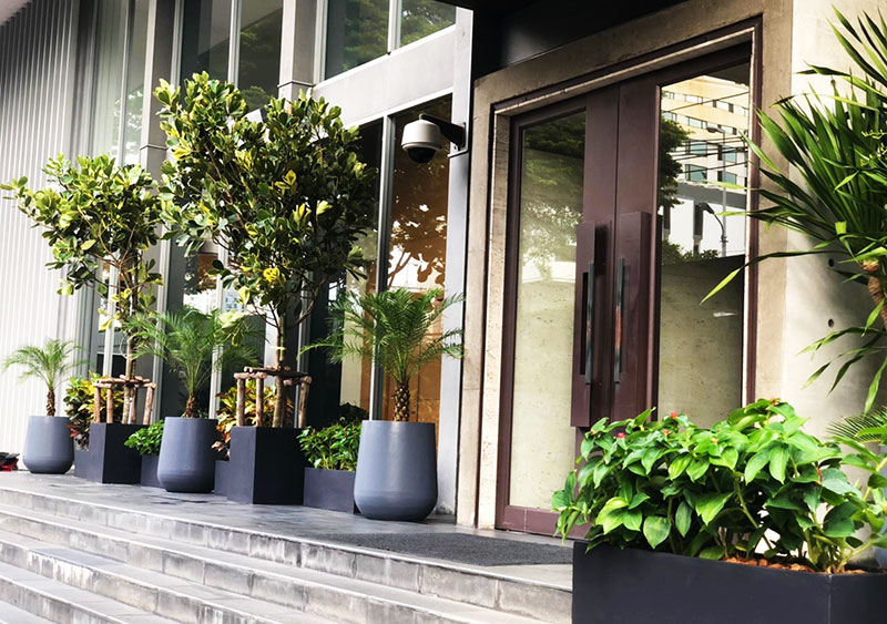 tropical landscape for offices