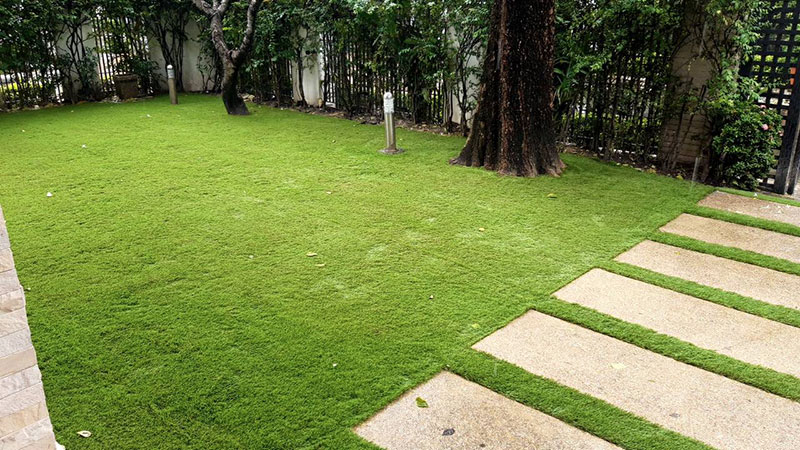 garden design thai