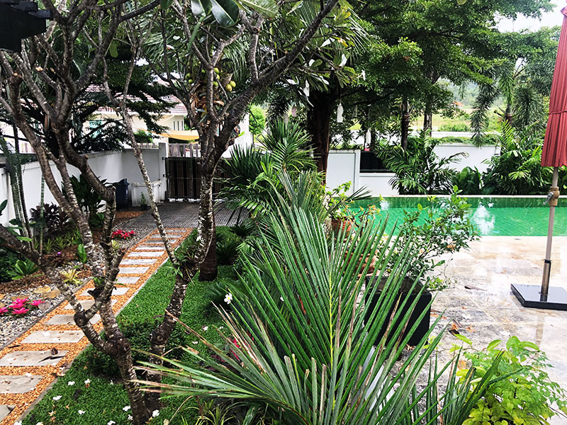 garden plants and trees in thailand