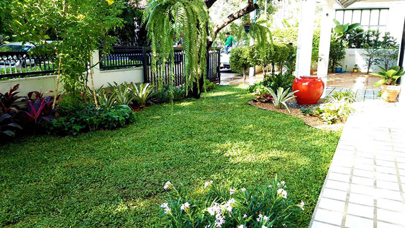 landscaping in bangkok