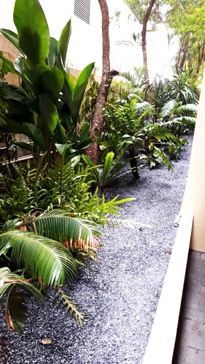 tropical garden designs bangkok