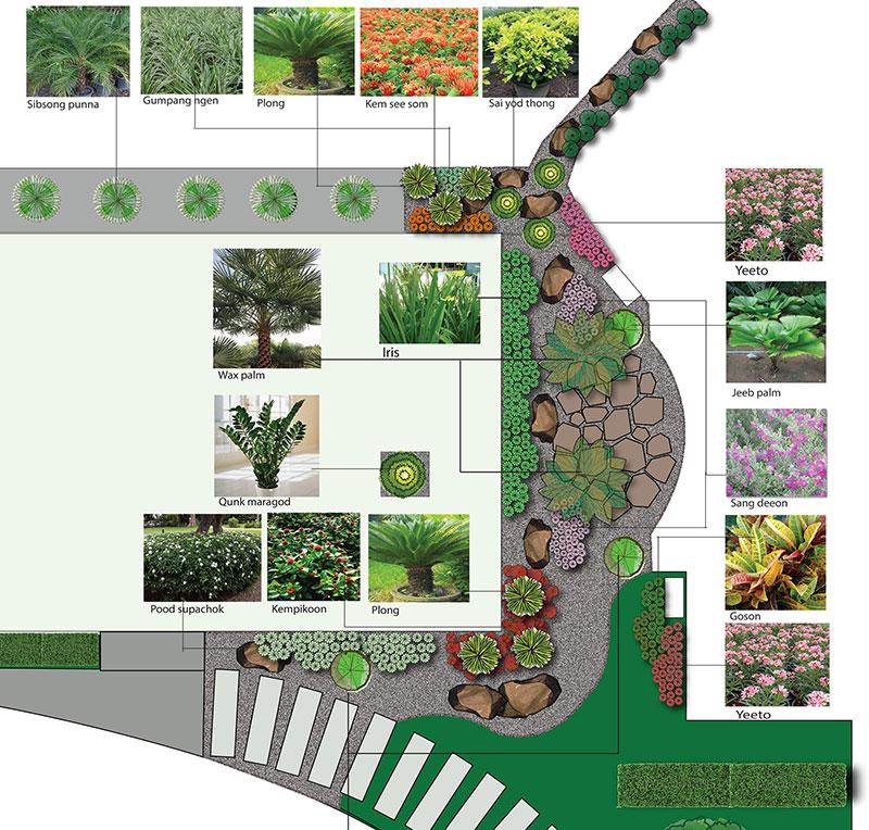 landscape plan garden design