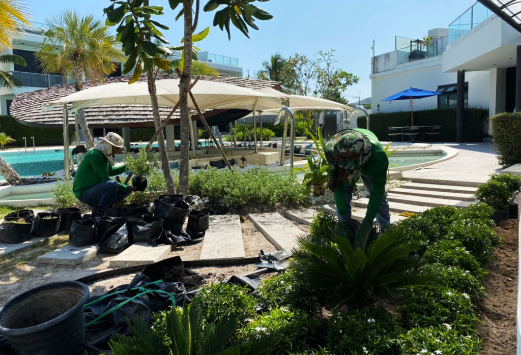 garden designer hua hin