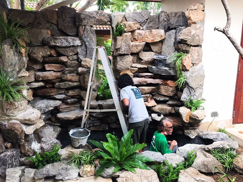 tropical garden water features