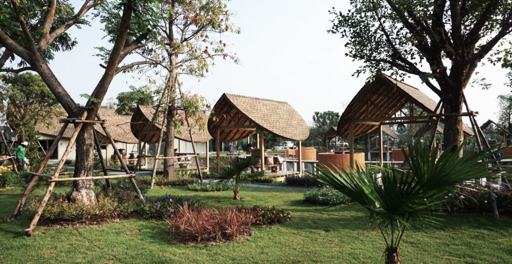 tropical garden design