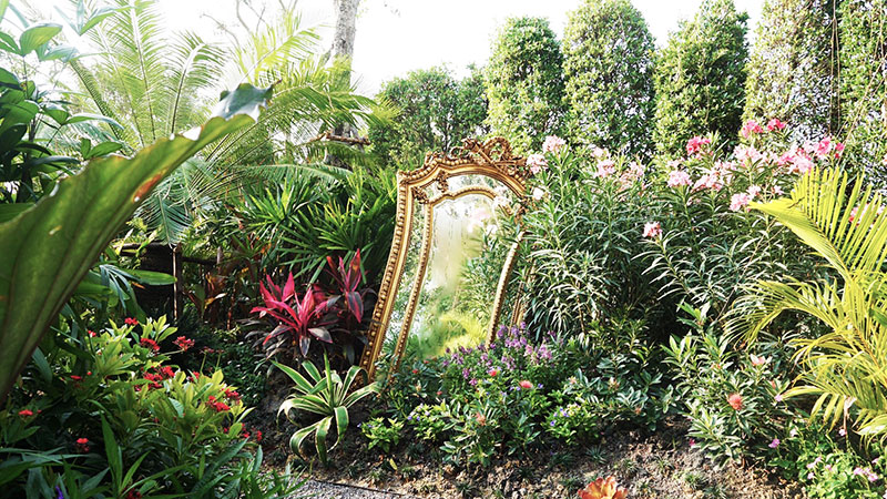 tropical garden plans