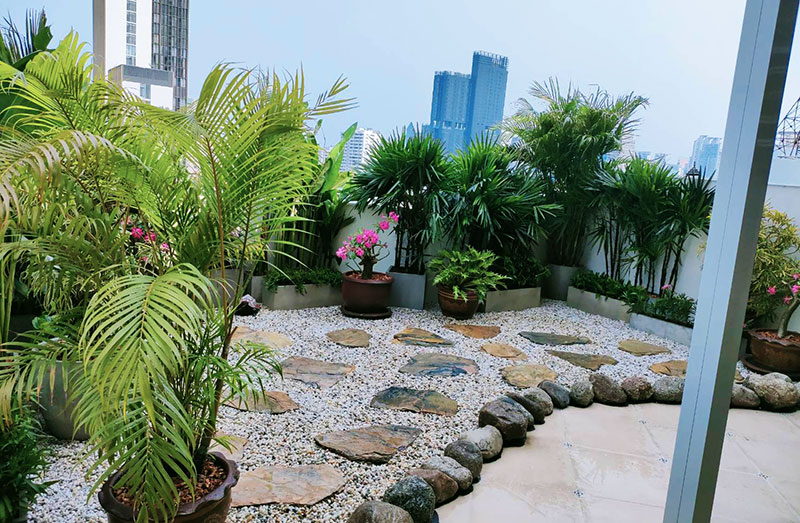 tropical roof garden designs