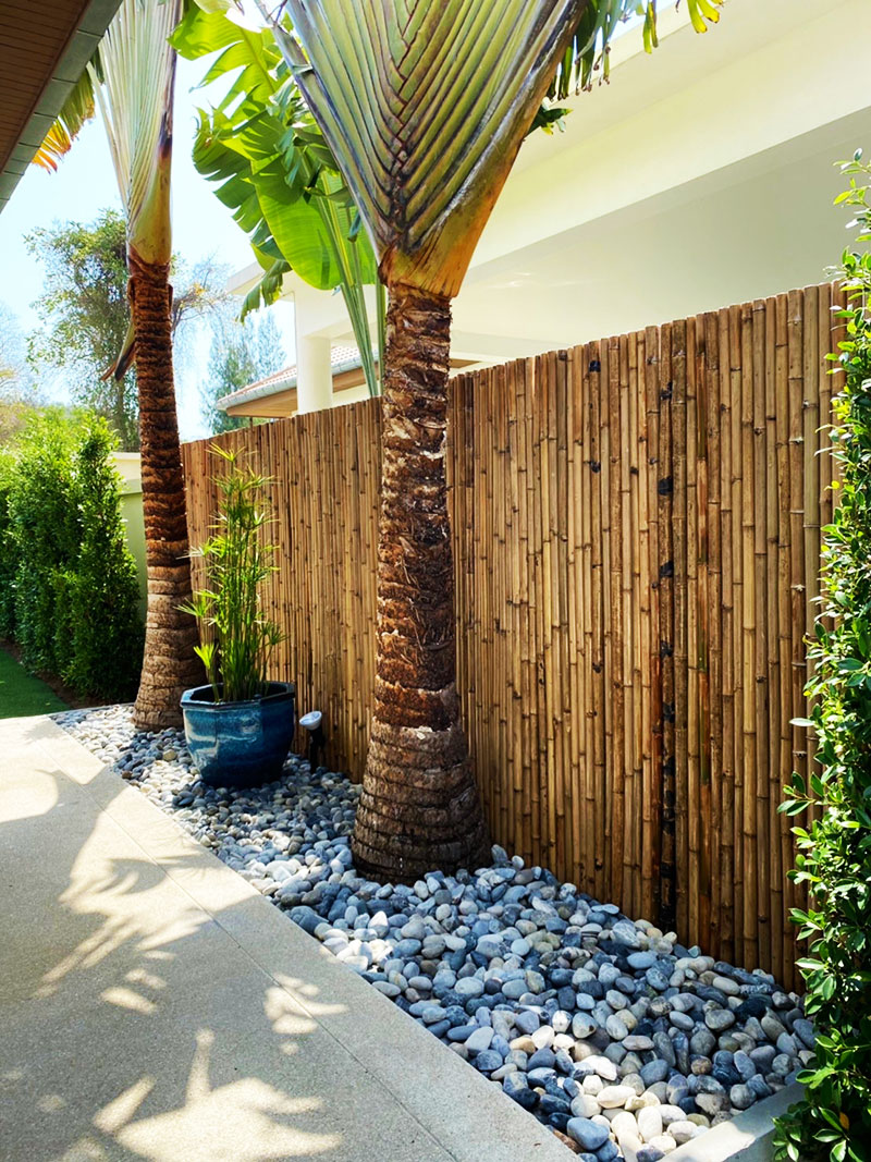 tropical garden designs