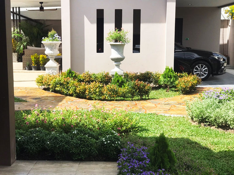 garden pots thailand