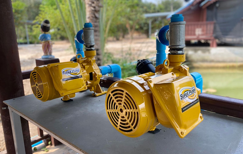 sprinkler pump thailand