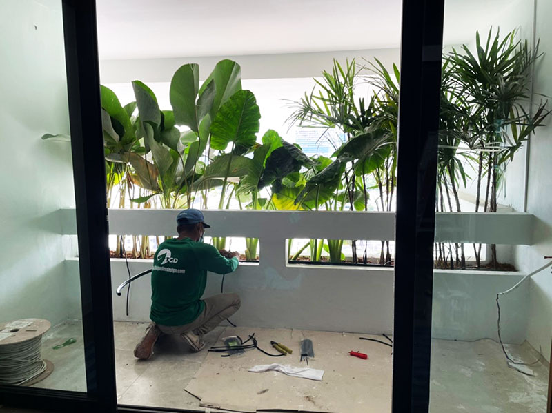 garden designer in thailand