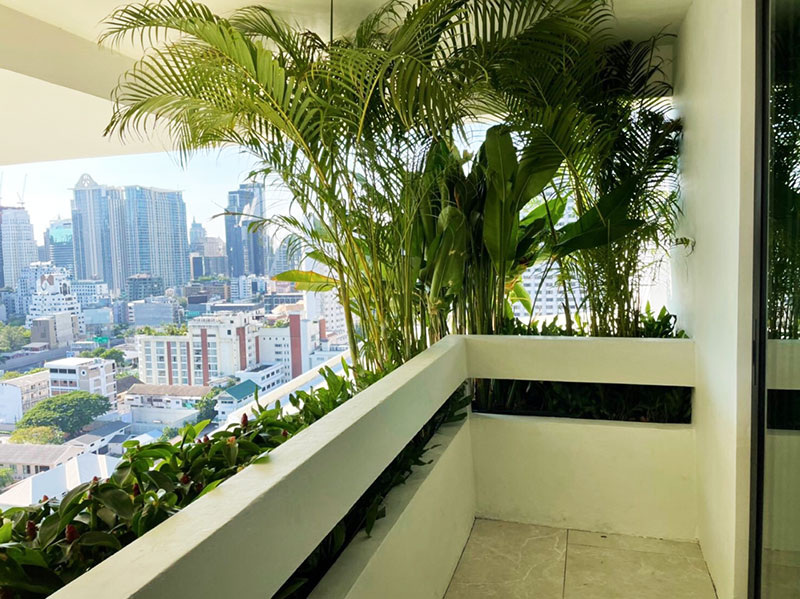 balcony foliage plants