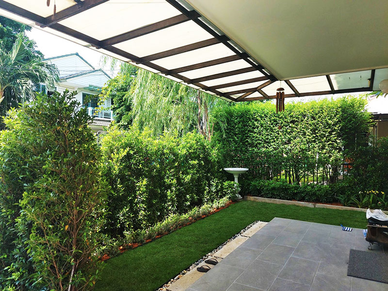 tropical urban garden bangkok
