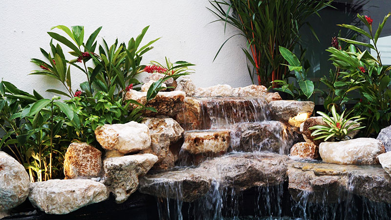 garden designer in bangkok pond designer thailand