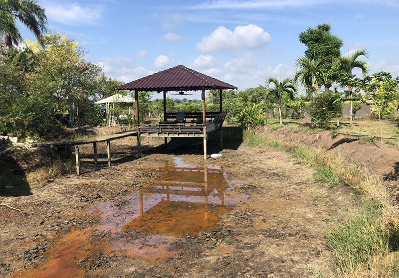 pond planning thailand