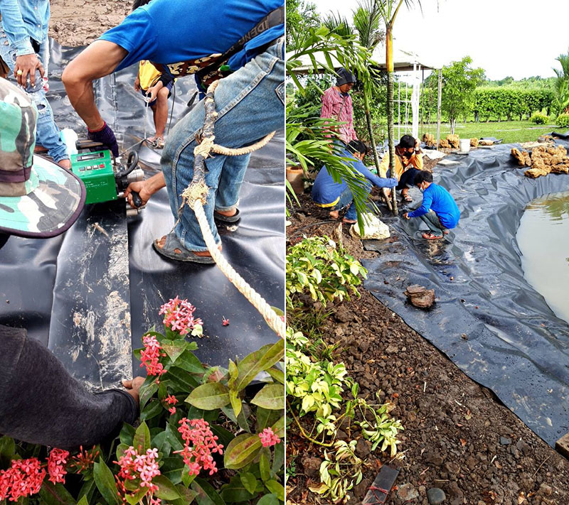 landscape pond liner bangkok pond liner gun thailand