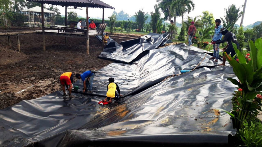 landscape pond liner