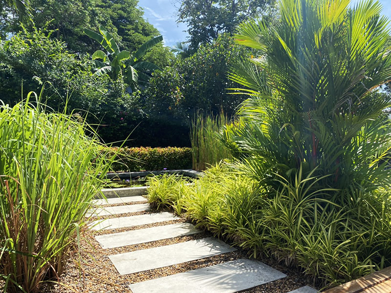 tropical garden designer