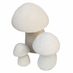 Stone Mushroom