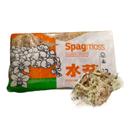 Spag Moss