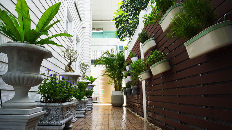side garden ideas in thailand sprinkler installation company thailand