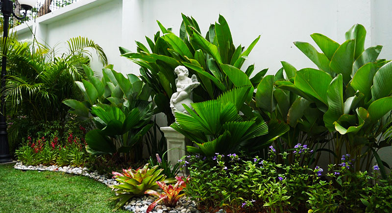 tropical garden art pond designer thailand