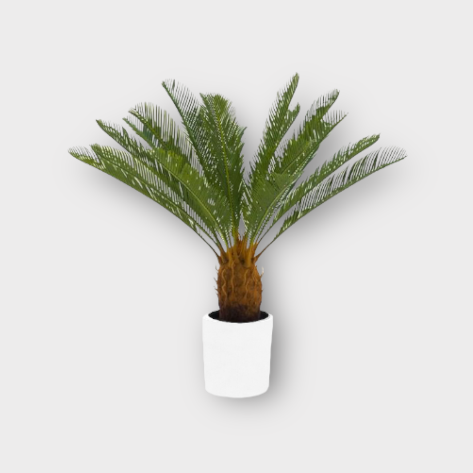 Artificial Sago Palm Thai Garden Design