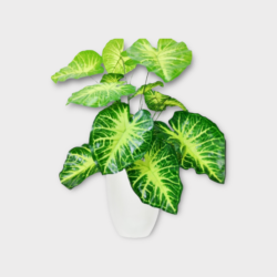 Artificial Arrow Head Plant