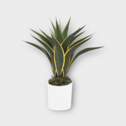 Artificial Agave Plant
