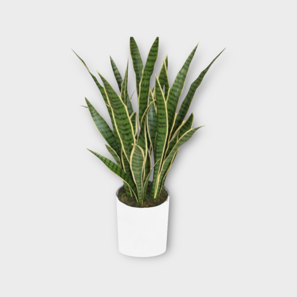 Artificial Snake Plant Thai Garden Design