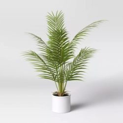 Artificial Cat Palm