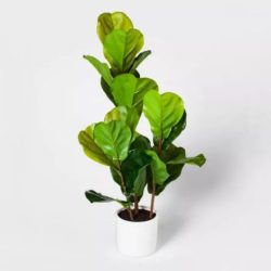 Artificial Fiddle Leaf Fig
