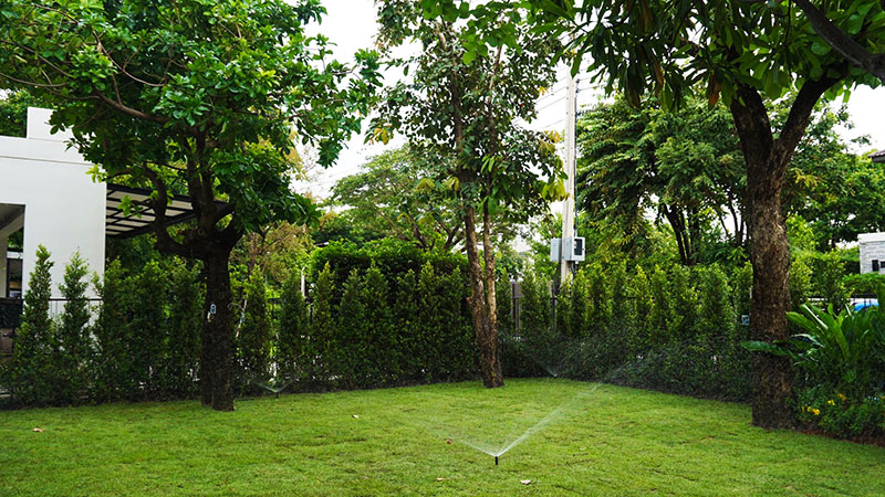landscape designer bangkok