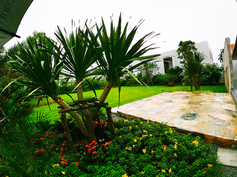 garden design and landscaping pattaya thailand landscapers