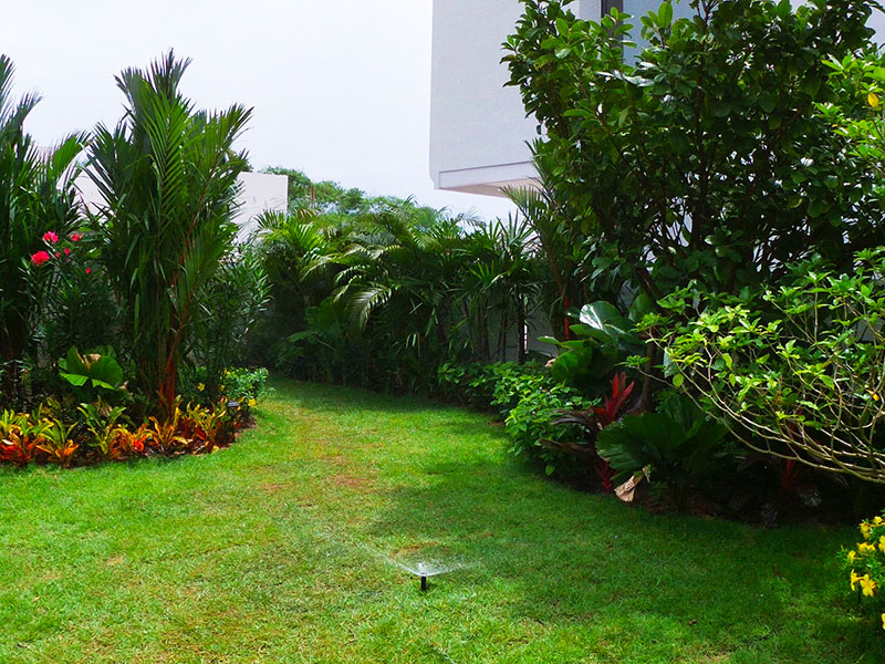 pattaya landscaping