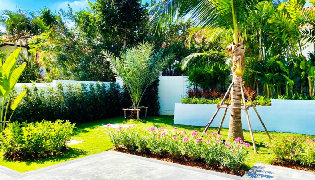 amazing tropical gardens